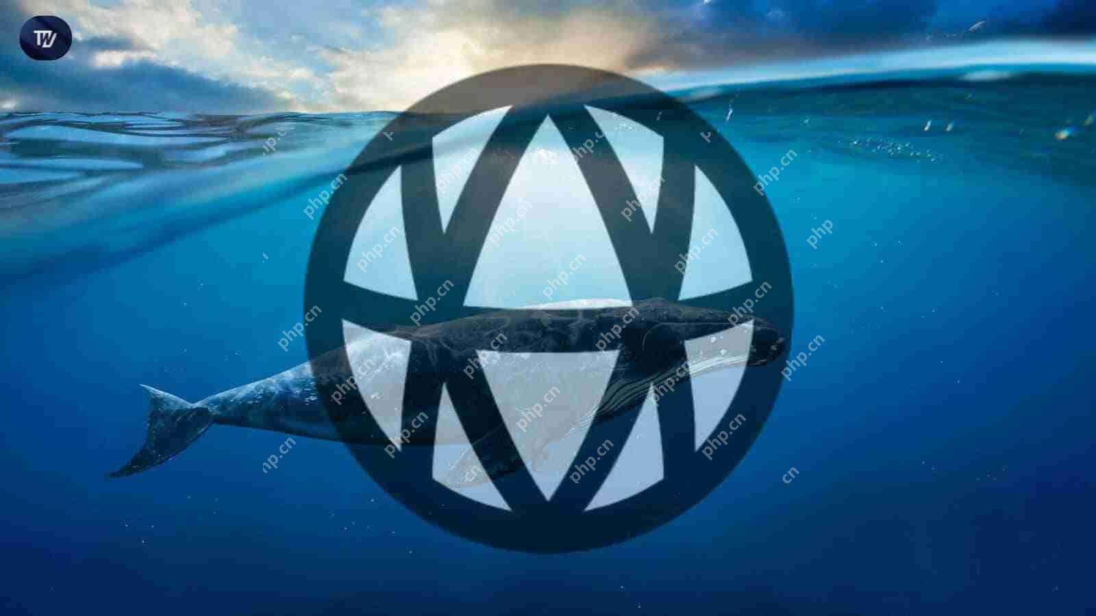 一条著名的鸡蛋鲸购买了2300万个AVA代币，价值170万美元